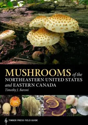 Ciuperci din nord-estul Statelor Unite și estul Canadei - Mushrooms of the Northeastern United States and Eastern Canada