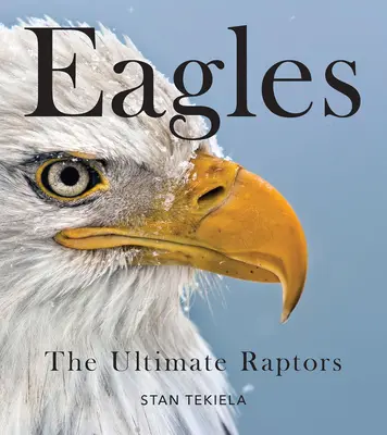 Bald Eagles: Cele mai bune păsări răpitoare - Bald Eagles: The Ultimate Raptors