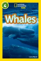 Balene - Nivelul 4 - Whales - Level 4