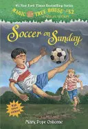 Fotbal duminică - Soccer on Sunday