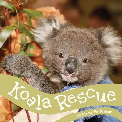 Salvarea Koala - Koala Rescue