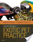 Terapia actuală în practica animalelor de companie exotice - Current Therapy in Exotic Pet Practice