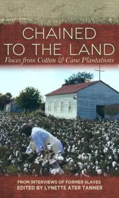 Legat de pământ: Voci din plantațiile de bumbac și trestie de zahăr - Chained to the Land: Voices from Cotton & Cane Plantations