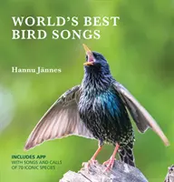 Cele mai bune cântece de păsări din lume - World's Best Bird Songs