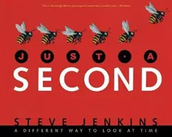 Doar o secundă - Just a Second