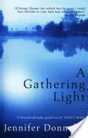 Adunarea luminii - Gathering Light
