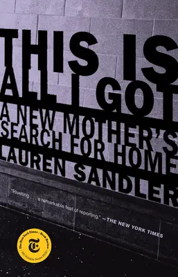 Asta e tot ce am: Căutarea unui cămin de către o nouă mamă - This Is All I Got: A New Mother's Search for Home