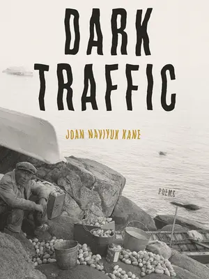 Trafic întunecat: Poezii - Dark Traffic: Poems