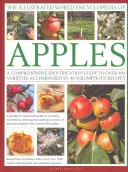 The Illustrated World Encyclopedia of Apples (Enciclopedia mondială ilustrată a merelor): A Comprehensive Identification Guide to Over 400 Varieties Accomanied by 60 Scrumptious Recipes - The Illustrated World Encyclopedia of Apples: A Comprehensive Identification Guide to Over 400 Varieties Accompanied by 60 Scrumptious Recipes