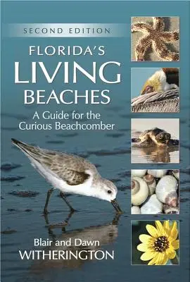 Plajele vii ale Floridei: Un ghid pentru vizitatorii curioși ai plajelor - Florida's Living Beaches: A Guide for the Curious Beachcomber