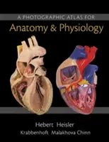 Un atlas fotografic pentru anatomie și fiziologie - A Photographic Atlas for Anatomy & Physiology