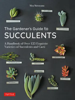 The Gardener's Guide to Succulents: Un manual cu peste 125 de soiuri rafinate de suculente și cactuși - The Gardener's Guide to Succulents: A Handbook of Over 125 Exquisite Varieties of Succulents and Cacti