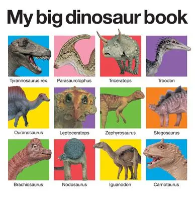 Marea mea carte cu dinozauri - My Big Dinosaur Book