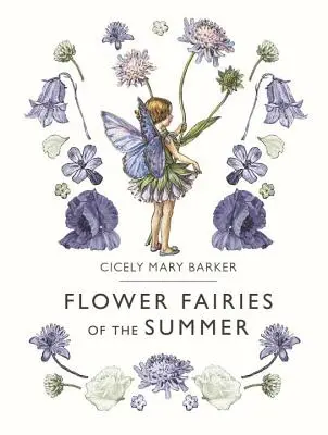 Zânele florilor de vară - Flower Fairies of the Summer