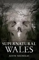 Țara Galilor supranaturală - Supernatural Wales