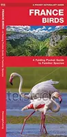France Birds - Un ghid de buzunar pliabil al speciilor familiare - France Birds - A Folding Pocket Guide to Familiar Species