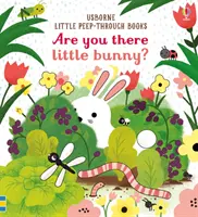 Ești acolo, iepurașule? - Are you there little Bunny