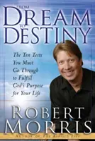 De la vis la destin - From Dream to Destiny
