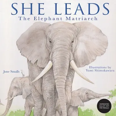 Ea conduce: Matriarhul Elefant - She Leads: The Elephant Matriarch