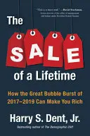 The Sale of a Lifetime: Cum vă poate îmbogăți marea explozie a bulei din 2017-2019 - The Sale of a Lifetime: How the Great Bubble Burst of 2017-2019 Can Make You Rich