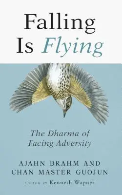 A cădea înseamnă a zbura, 1: Dharma înfruntării adversității - Falling Is Flying, 1: The Dharma of Facing Adversity