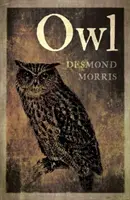 Bufnița - Owl