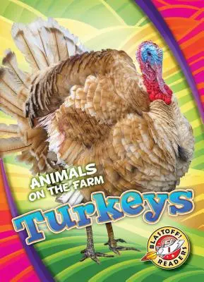Curcani - Turkeys