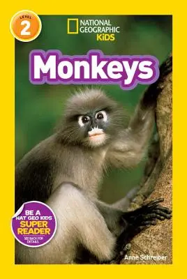 Maimuțe - Monkeys