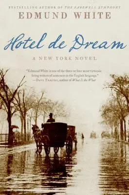 Hotel de vis: Un roman newyorkez - Hotel de Dream: A New York Novel