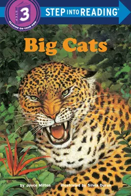Pisici mari - Big Cats