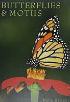 Fluturi și molii - Butterflies & Moths