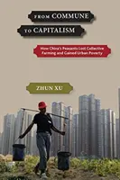 De la comună la capitalism: Cum au pierdut țăranii din China agricultura colectivă și au câștigat sărăcia urbană - From Commune to Capitalism: How China's Peasants Lost Collective Farming and Gained Urban Poverty