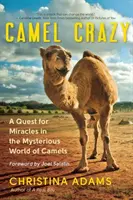 Camel Crazy: O căutare a miracolelor în lumea misterioasă a cămilelor - Camel Crazy: A Quest for Miracles in the Mysterious World of Camels