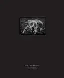 Animale - Animals