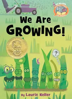 Suntem în creștere! - We Are Growing!