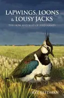 Rândunele, stârci și șacali leneși - Lapwings, Loons and Lousy Jacks