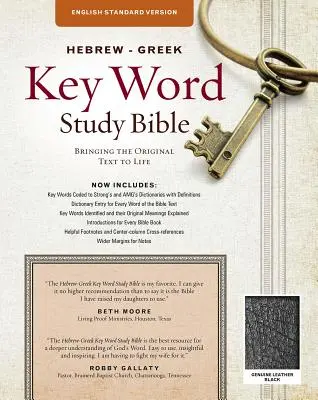 Biblia de studiu cu cuvinte cheie ebraică-greacă-ESV: Key Insights Into God's Word - Hebrew-Greek Key Word Study Bible-ESV: Key Insights Into God's Word