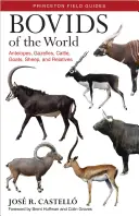Bovidele lumii: Antilope, gazele, bovine, caprine, ovine și rude - Bovids of the World: Antelopes, Gazelles, Cattle, Goats, Sheep, and Relatives