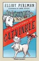 Aventurile lui Catvinkle - Adventures of Catvinkle