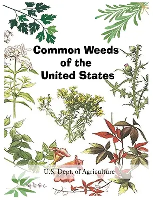 Buruienile comune din Statele Unite ale Americii - Common Weeds of the United States