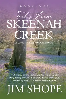 Povești din Skeenah Creek: A Civil War Historical Fiction Novel - Tales From Skeenah Creek: A Civil War Historical Fiction Novel