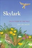 ciocârlia - Skylark