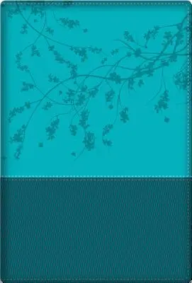 Biblia O femeie după inima lui Dumnezeu - A Woman After God's Own Heart Bible