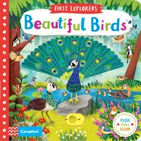 Păsări frumoase - Beautiful Birds