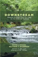 În aval - Downstream