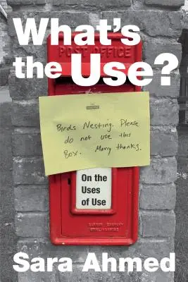 What's the Use? Despre utilizările utilizării - What's the Use?: On the Uses of Use