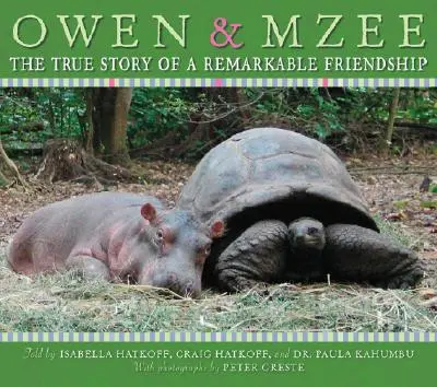 Owen și Mzee: Povestea adevărată a unei prietenii remarcabile - Owen and Mzee: The True Story of a Remarkable Friendship
