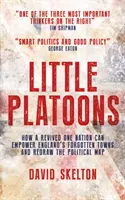 Little Platoons - Cum poate renaște One Nation să dea putere orașelor uitate ale Angliei și să redeseneze harta politică - Little Platoons - How a revived One Nation can empower England's forgotten towns and redraw the political map