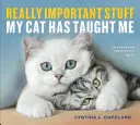 Lucruri foarte importante pe care le-a învățat pisica mea - Really Important Stuff My Cat Has Taught Me