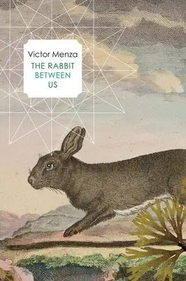 Iepurele dintre noi - The Rabbit Between Us